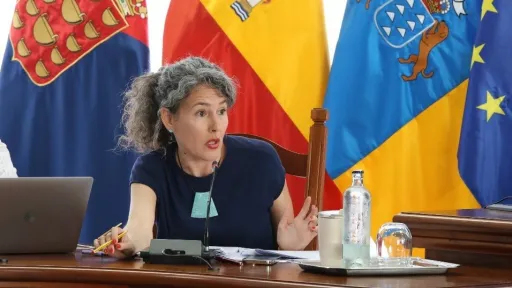 Ariagona González - Pleno 2025-06-03