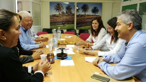 Thumbnail of AETUR2.jpg