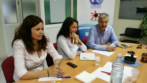 Thumbnail of AETUR3.jpg