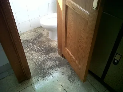 Thumbnail of Baño comisaría Tías_0.jpg