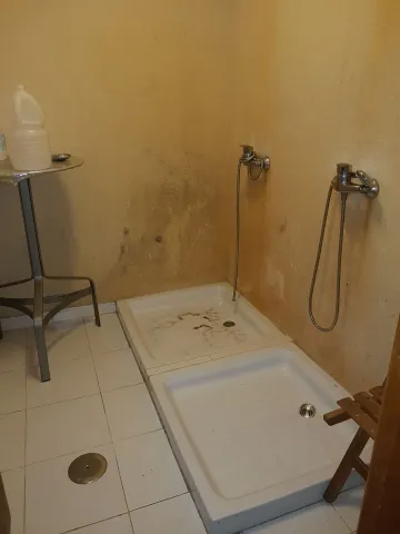 Thumbnail of IMG_4784.JPG