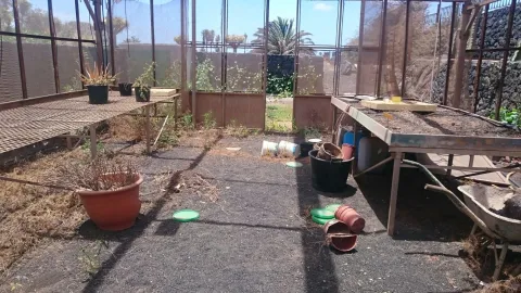 Thumbnail of IMG_5890.JPG