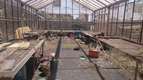 Thumbnail of IMG_5892.JPG