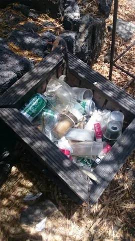 Thumbnail of IMG_5893.JPG