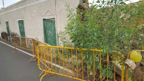 Thumbnail of Poda.jpg