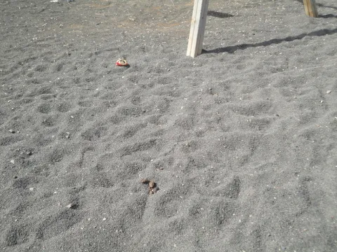 Thumbnail of Suciedad.redimensionado.JPG