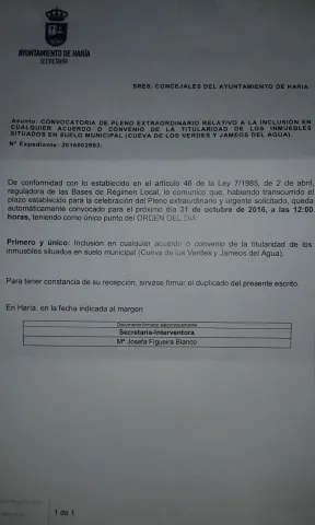 Thumbnail of WhatsApp Image 2016-10-20 at 4.42.07 PM.jpeg