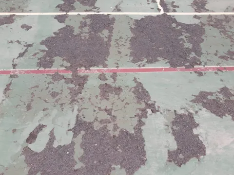 Thumbnail of cancha2.jpg