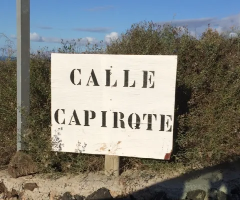 Thumbnail of f1.jpeg