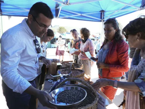 Thumbnail of merca2.jpg