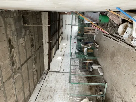 Thumbnail of 22e02886-2eca-4a7d-8746-a4b6585de0c42.jpeg