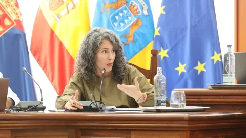 Thumbnail of Ariagona González - pleno de 2024-11-28.jpeg