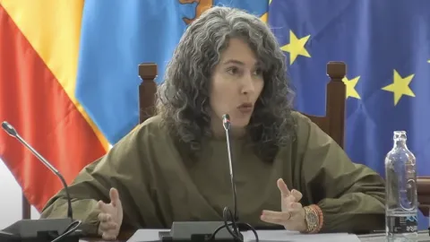 Thumbnail of Ariagona González - Pleno del Cabildo 2024-12-23.png .png
