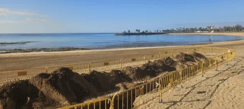 Thumbnail of IMG_2662.jpeg